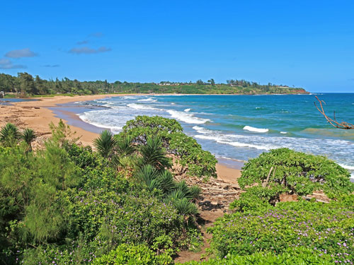 Tourist Attractions in Kauai Hawaii