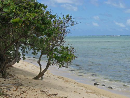 Kauai Hawaii