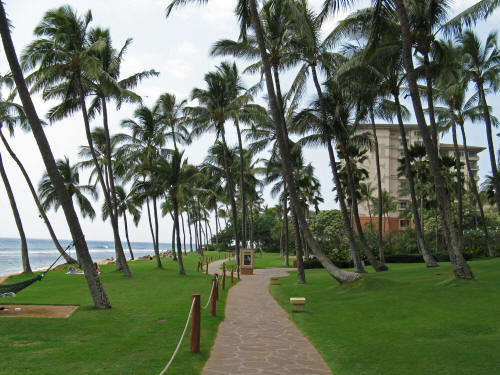Condos on the Island of Kauai