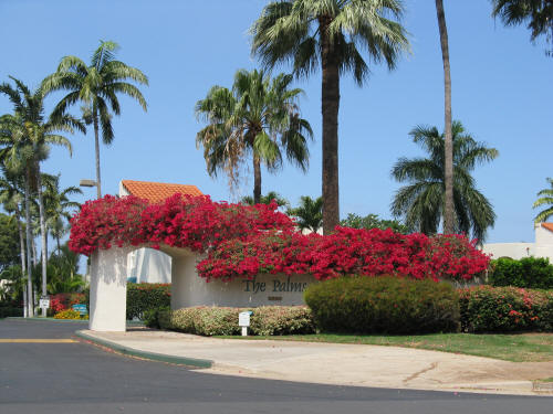 Kauai Real Estate