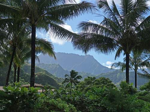 Napali Coast, Kauai Hawaii