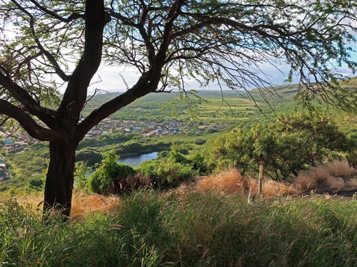 Waimea Kauai