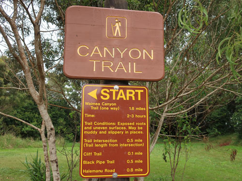 Waimea Canyon Trails, Kauai Hawaii